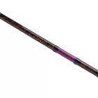 Карповое удилище Brain Apex 4.20m 4.0lbs 3sec Фото № 3