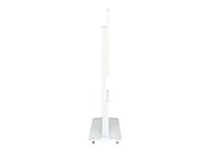 Интерактивный киоск INTBOARD INFOCOM RT 55” White (Capacitive touch) Фото № 4
